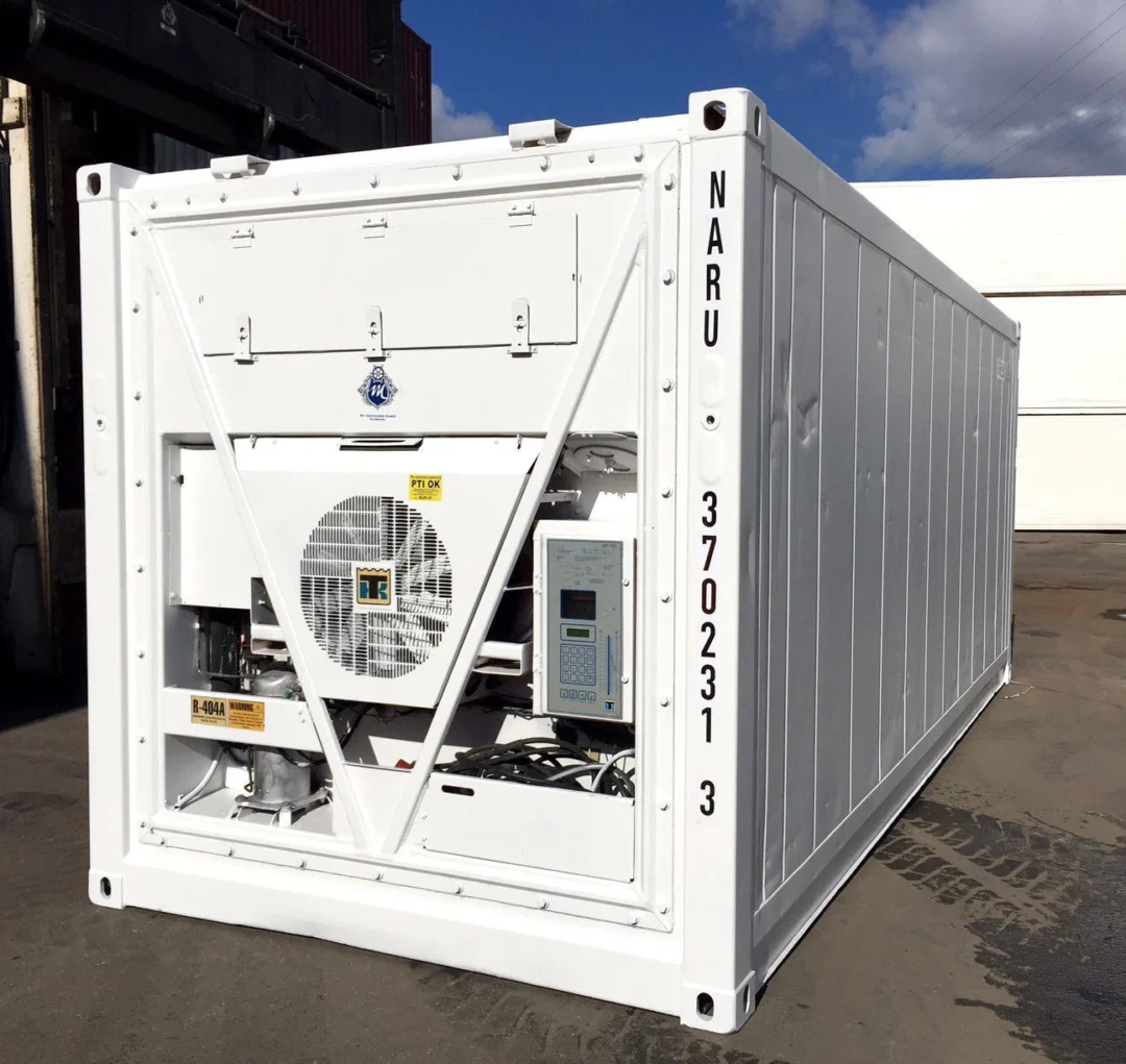 20 Feet Freezer Container Compact Mobile Cold Storage Cell Thermo King / Reefer - Image 2